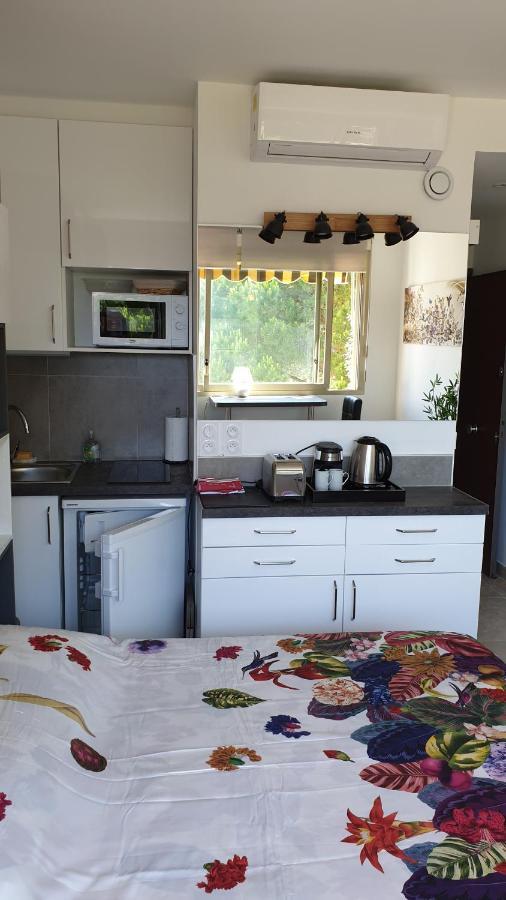 Garden And Beach Sea View Apartment Cannes Mandelieu Εξωτερικό φωτογραφία