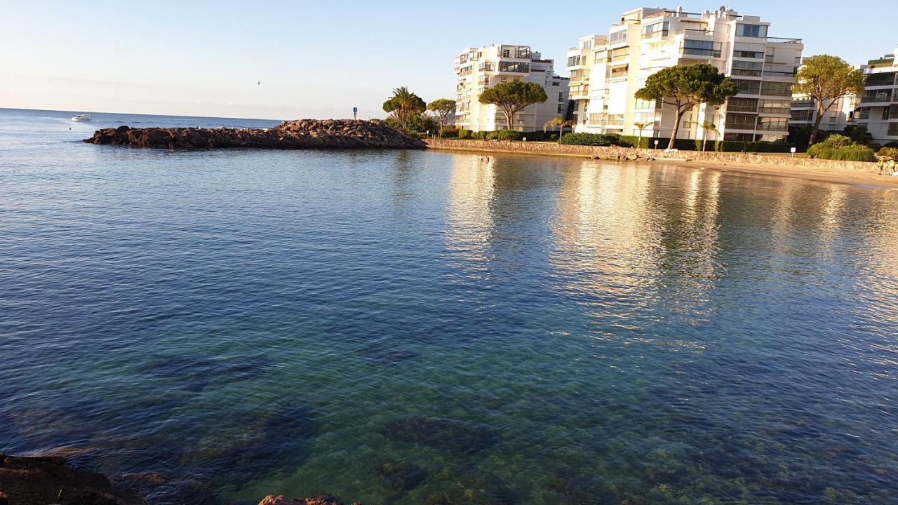 Garden And Beach Sea View Apartment Cannes Mandelieu Εξωτερικό φωτογραφία